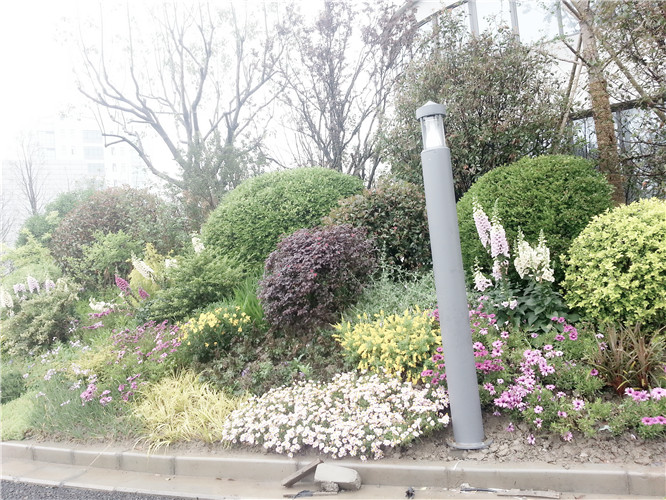 園林綠化養(yǎng)護(hù)