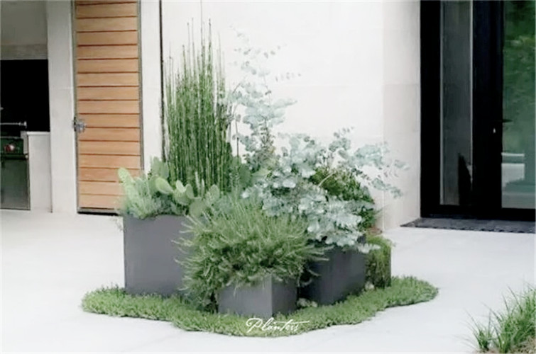 園林綠化養(yǎng)護(hù)