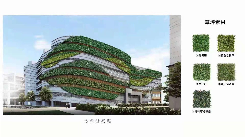 大型仿真植物墻設計施工