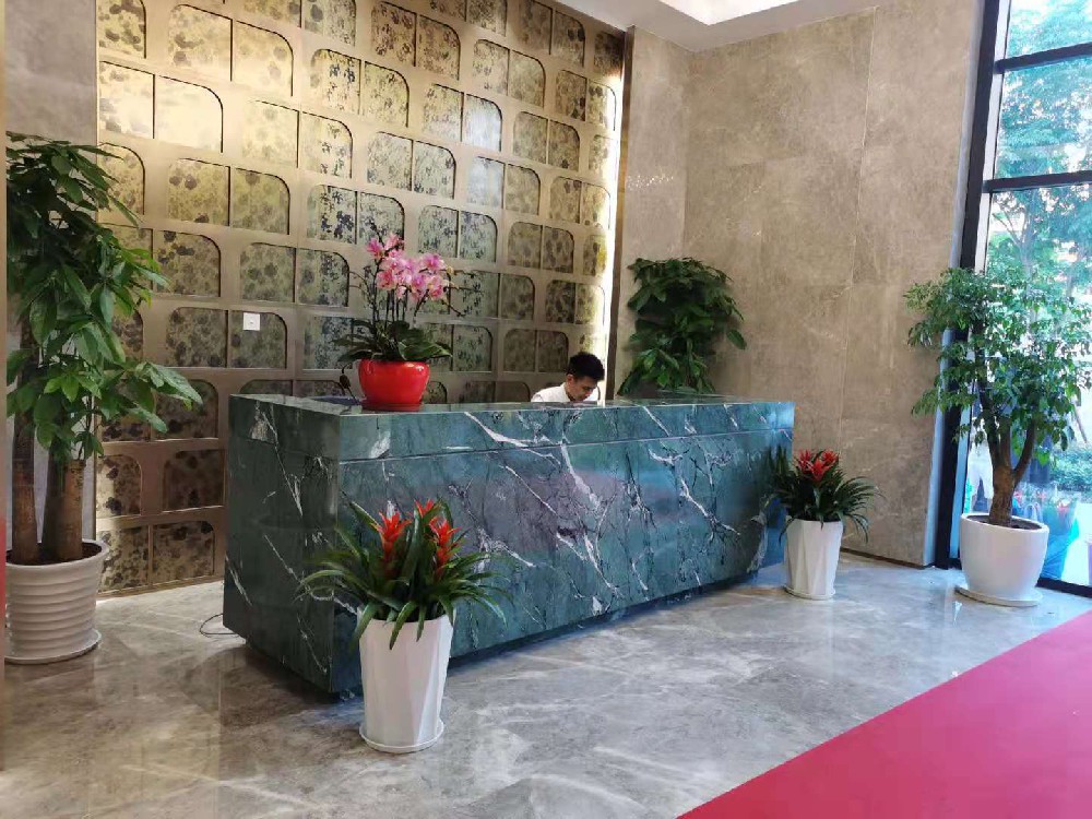 上海莘莊保華房產開發(fā)公司綠植租擺案例展示