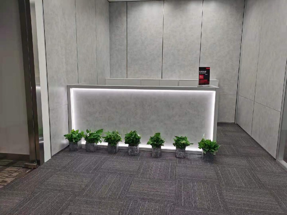 世紀(jì)匯商業(yè)廣場綠植進(jìn)場