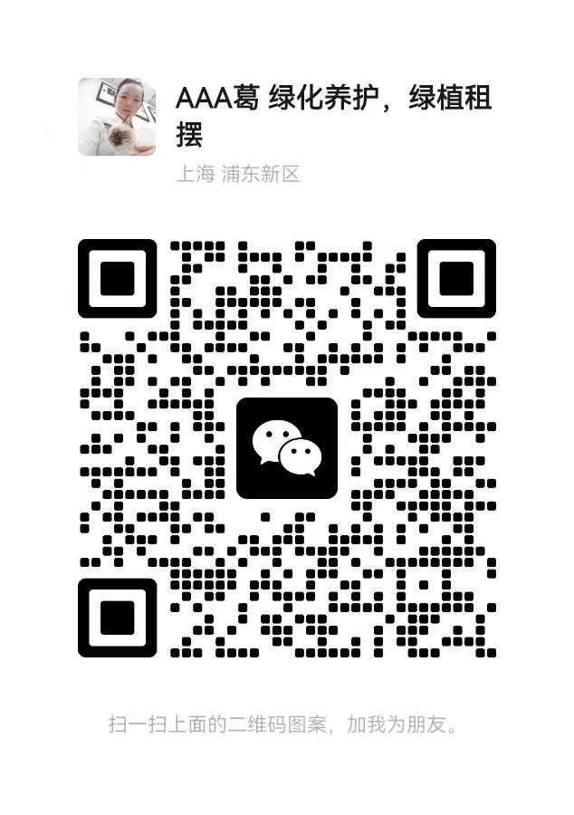 上海恩修園藝有限公司